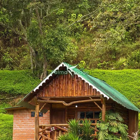 Cabañas Palma Sky Lodge Oxapampa Exterior foto
