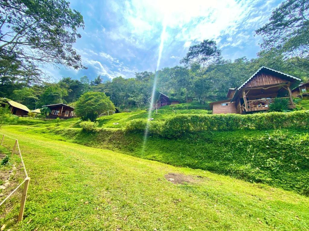 Palma Sky Lodge Oxapampa