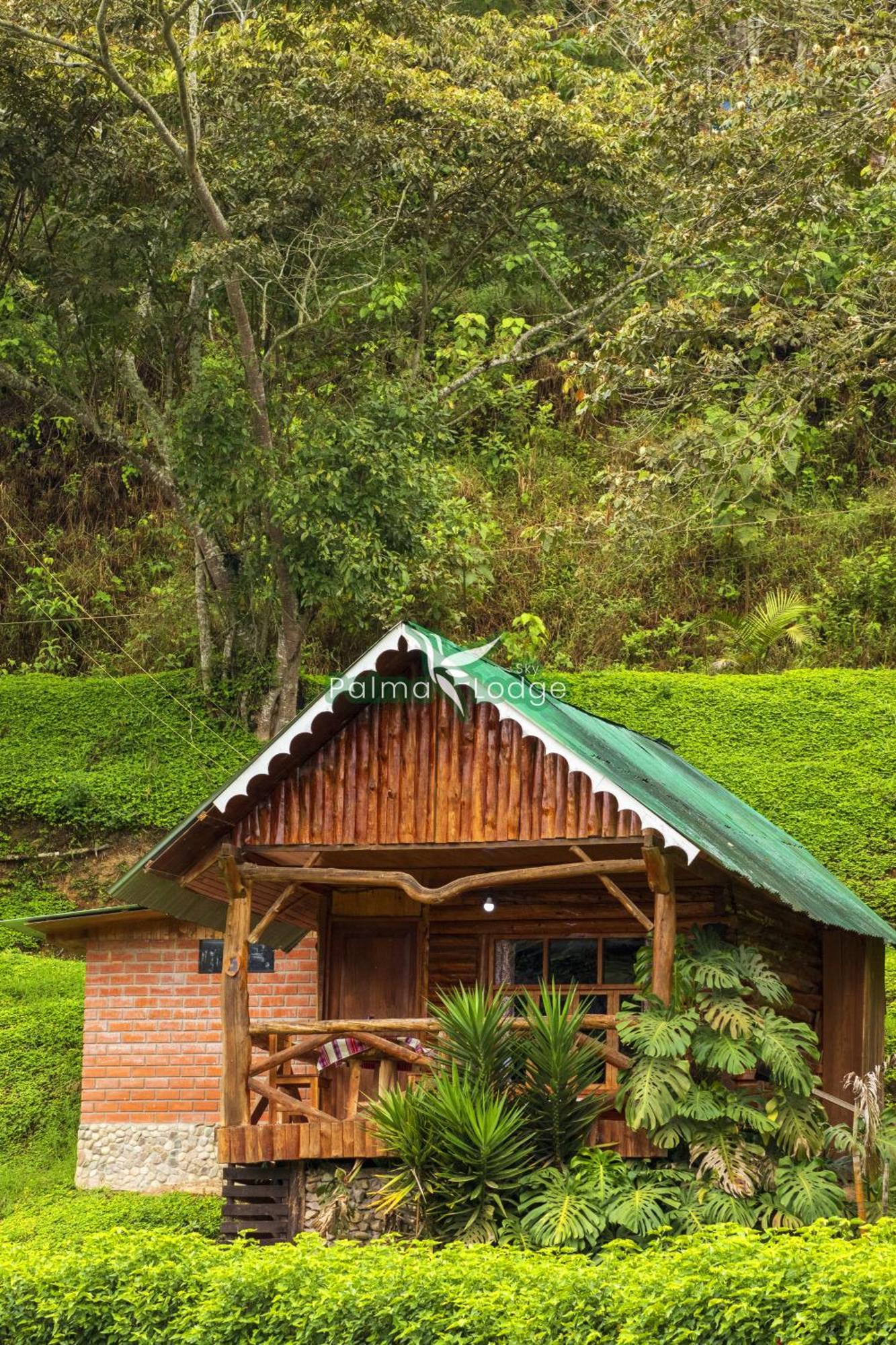 Lodge Palma Sky Oxapampa