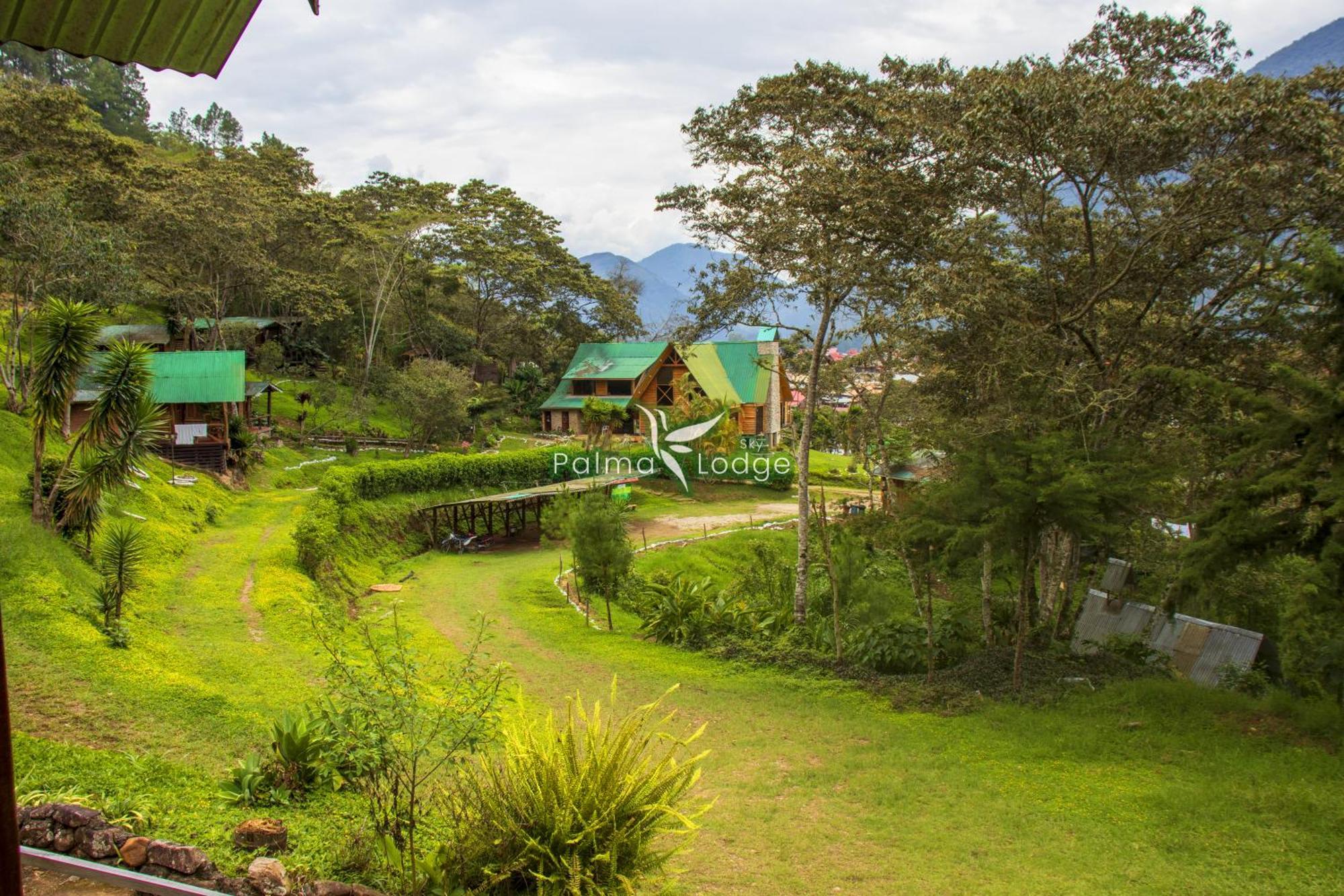 Palma Sky Lodge Oxapampa